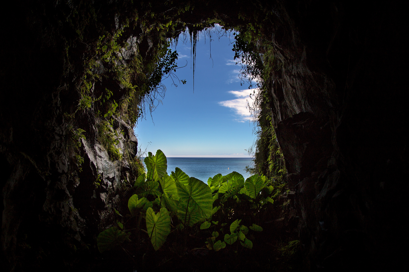 view through tunnel, ER101