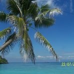 View to Cebu Island