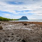 view to le morne