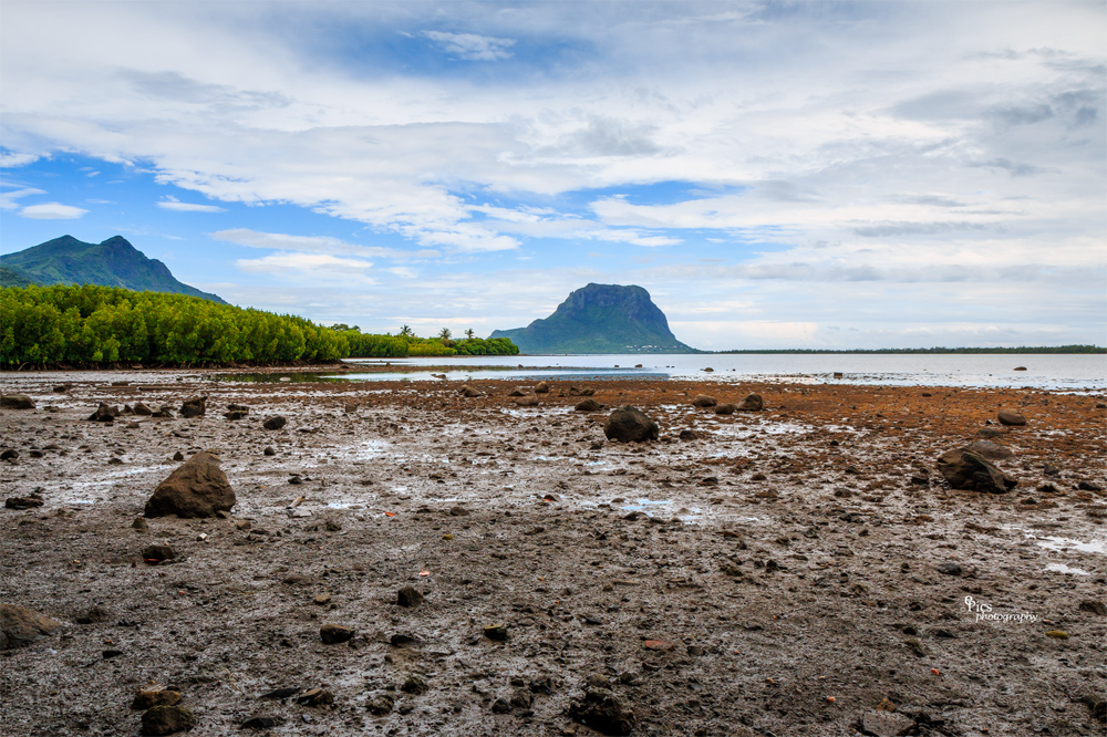 view to le morne