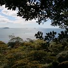 view to Owhanake bay (Waiheke Island, New Zealand)
