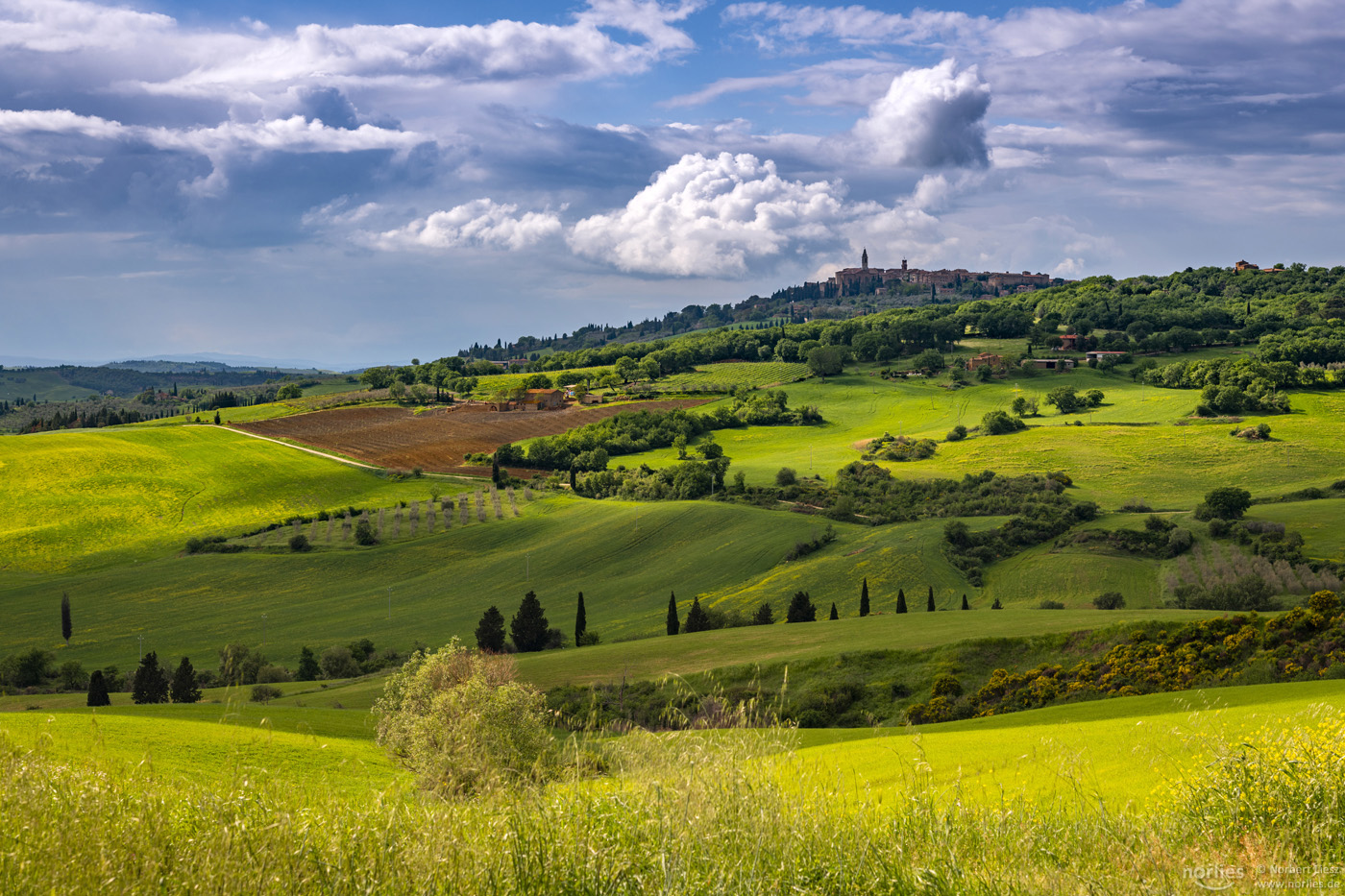 View to Pienza