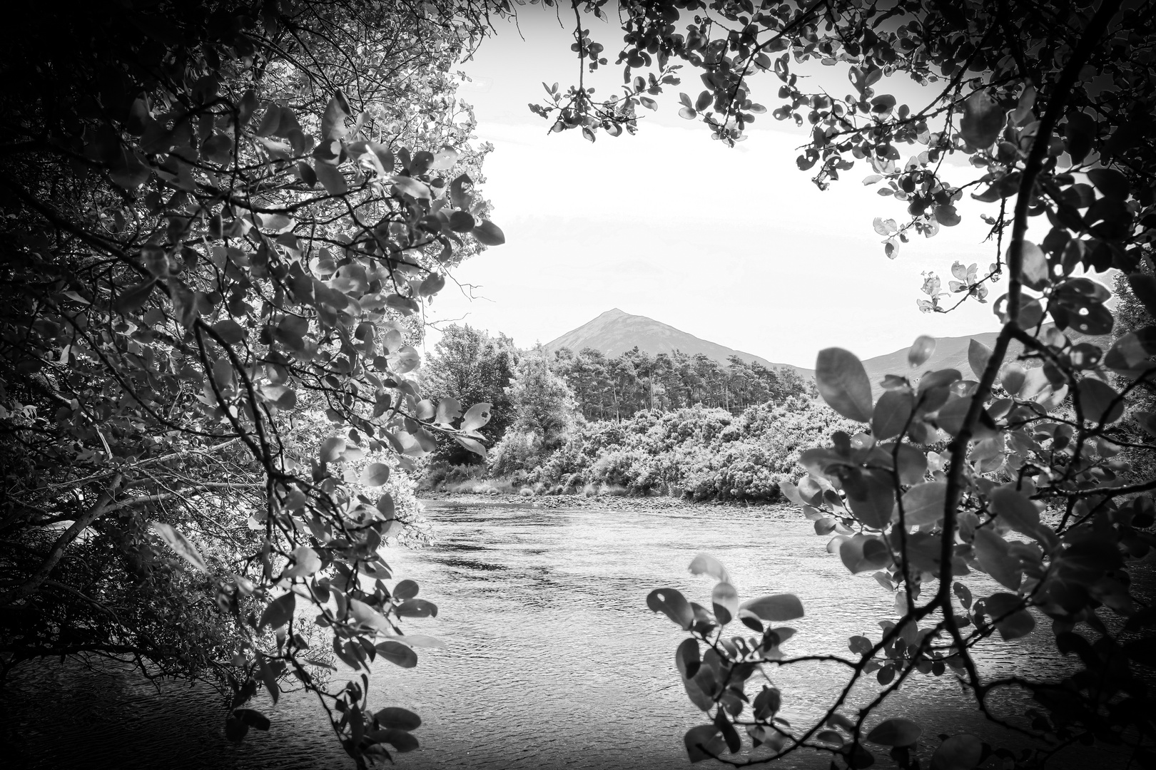 View to Schiehallion