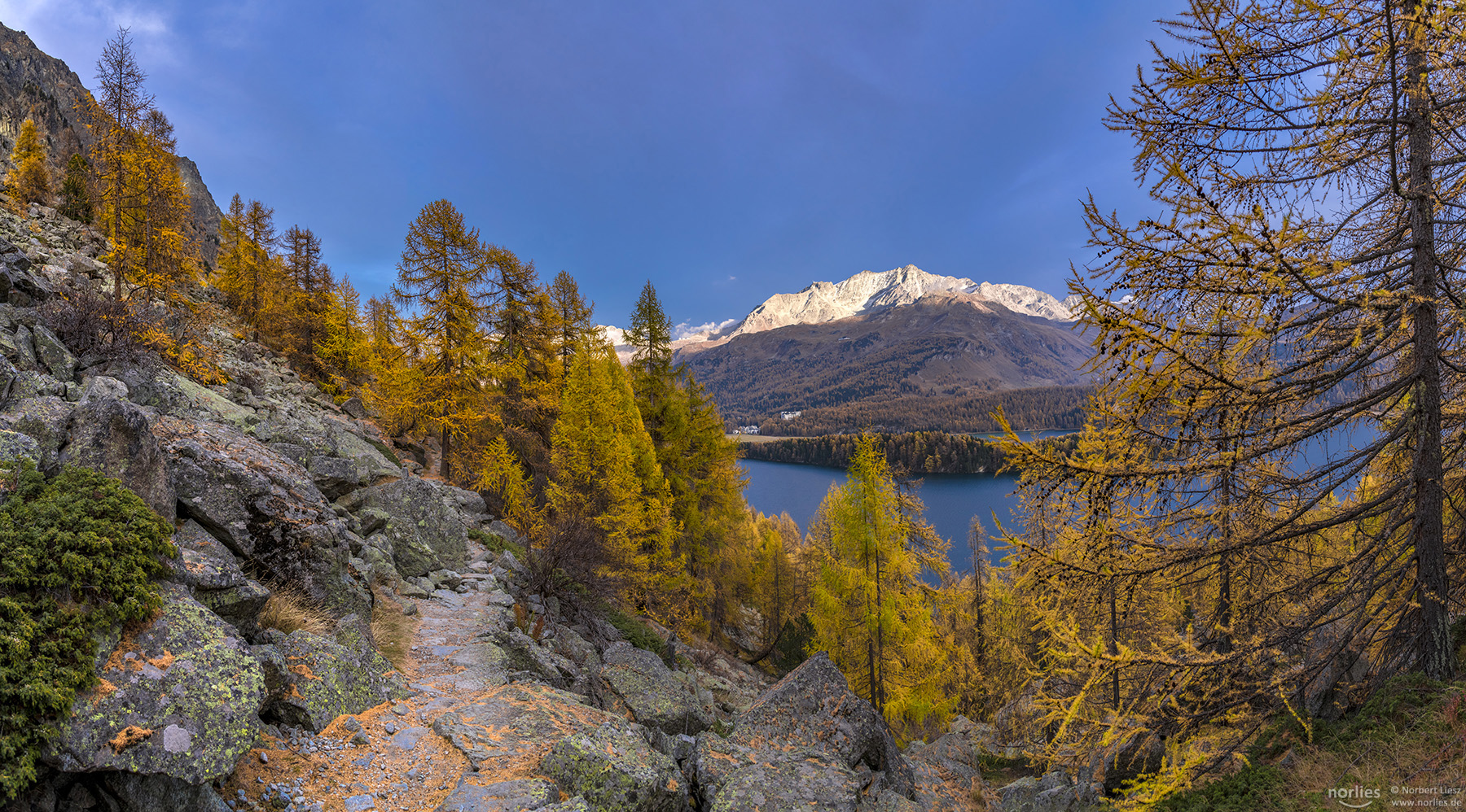 View to Silsersee