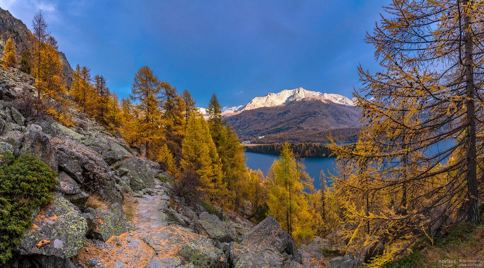 View to Silsersee