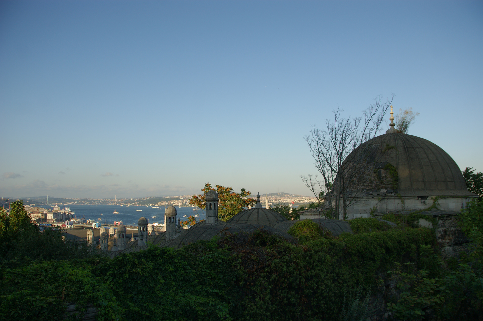 View to the bridge