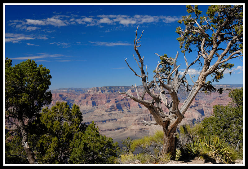 View to the Grand Canyon