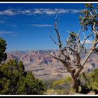 View to the Grand Canyon