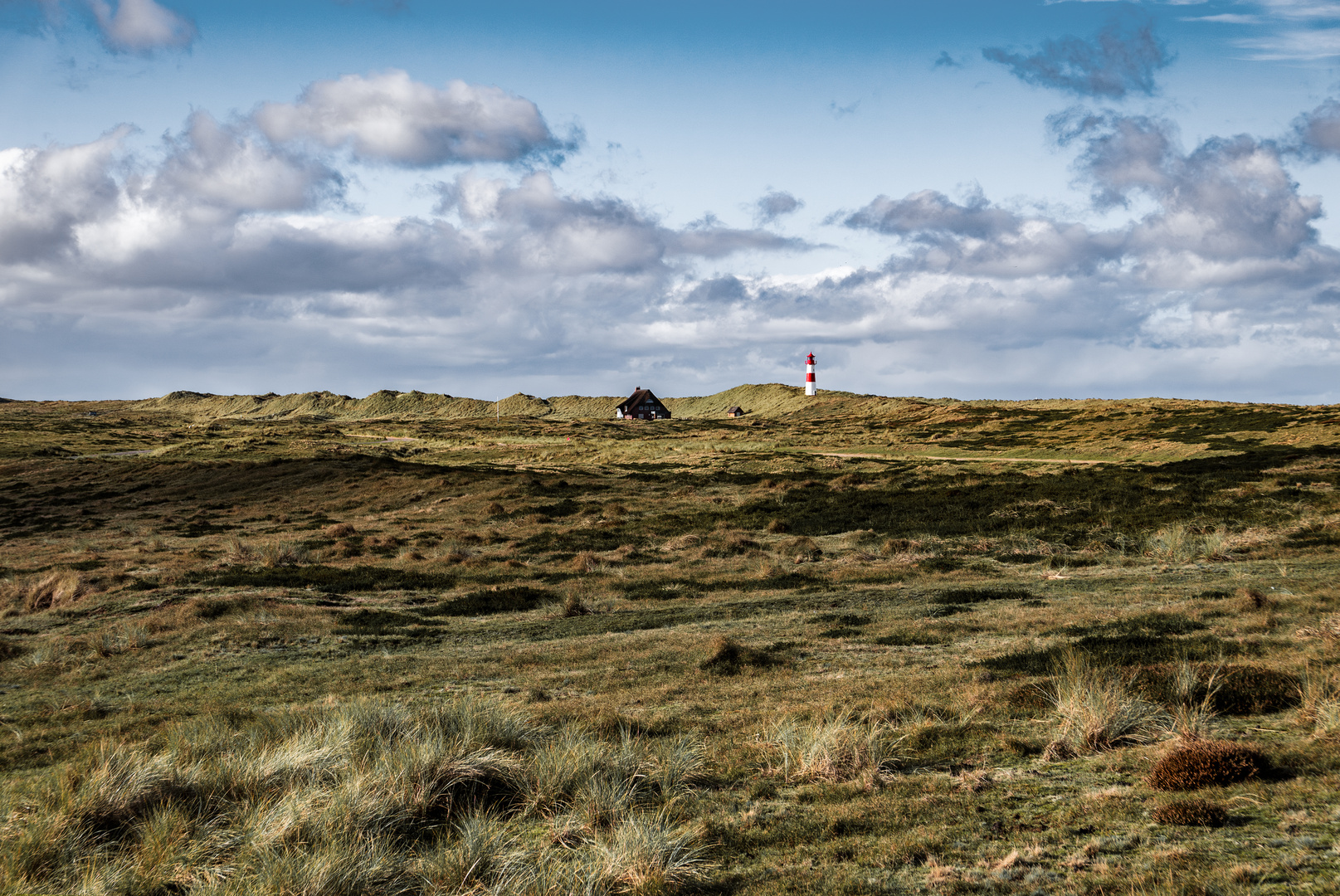 ... view to the lighthouse ...