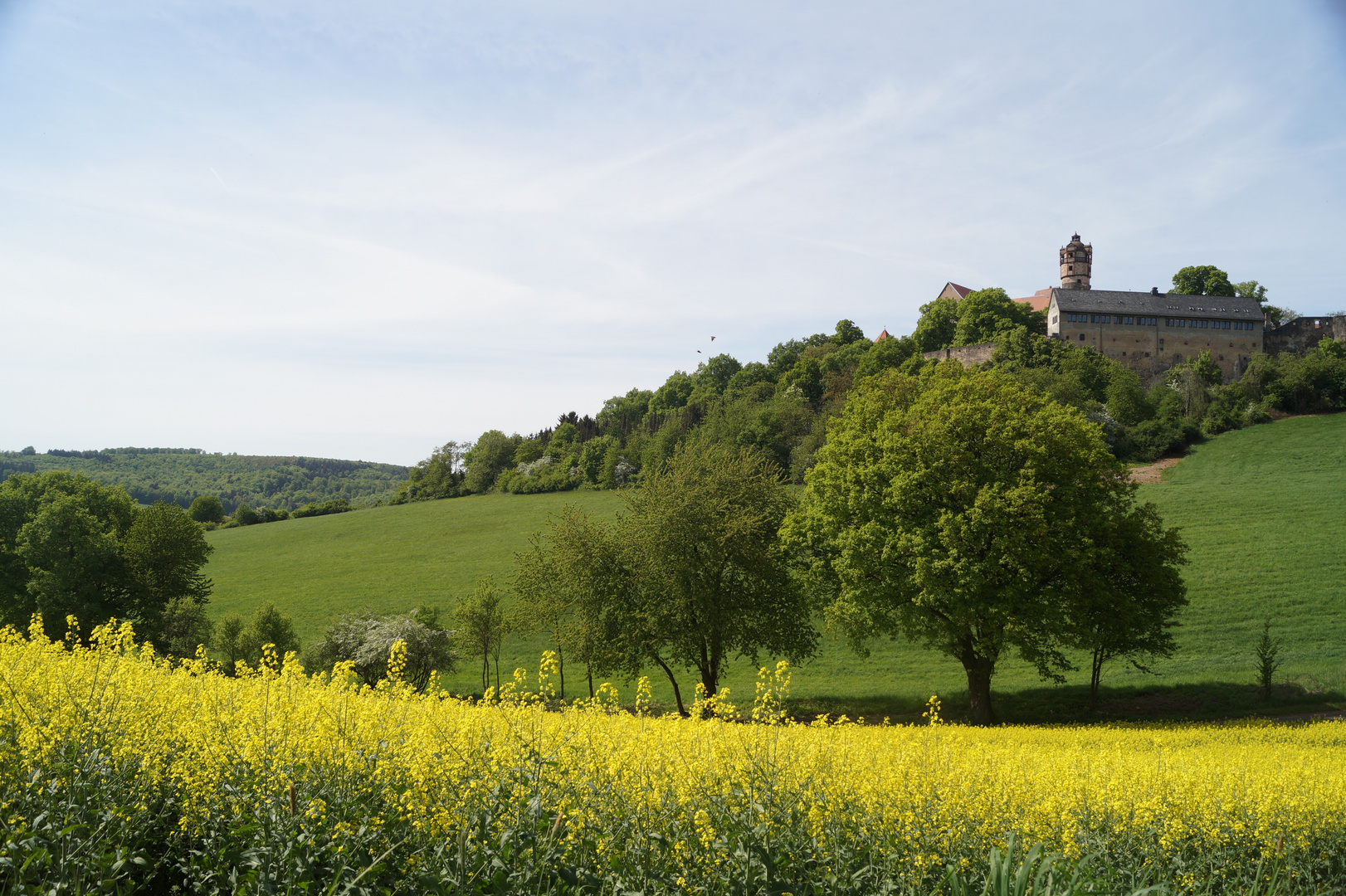 View to the Ronneburg