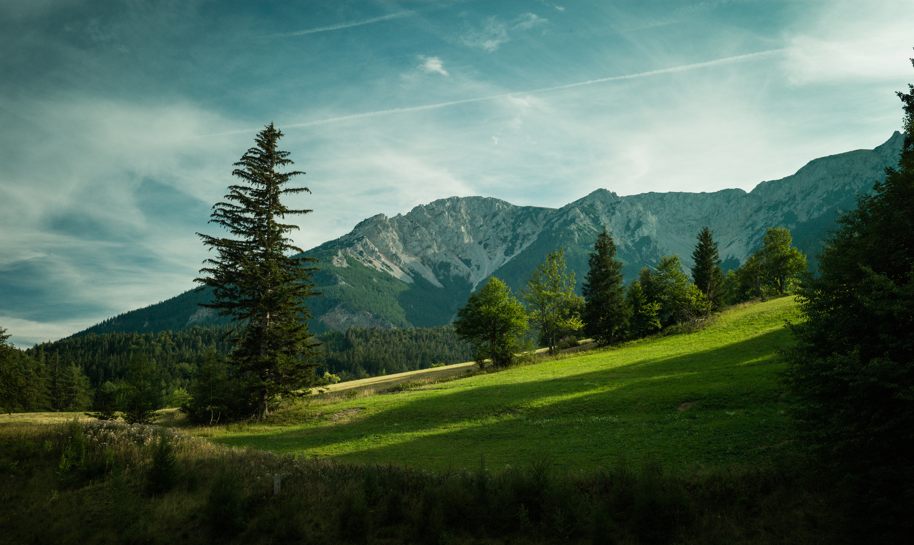 View towards Schneeberg