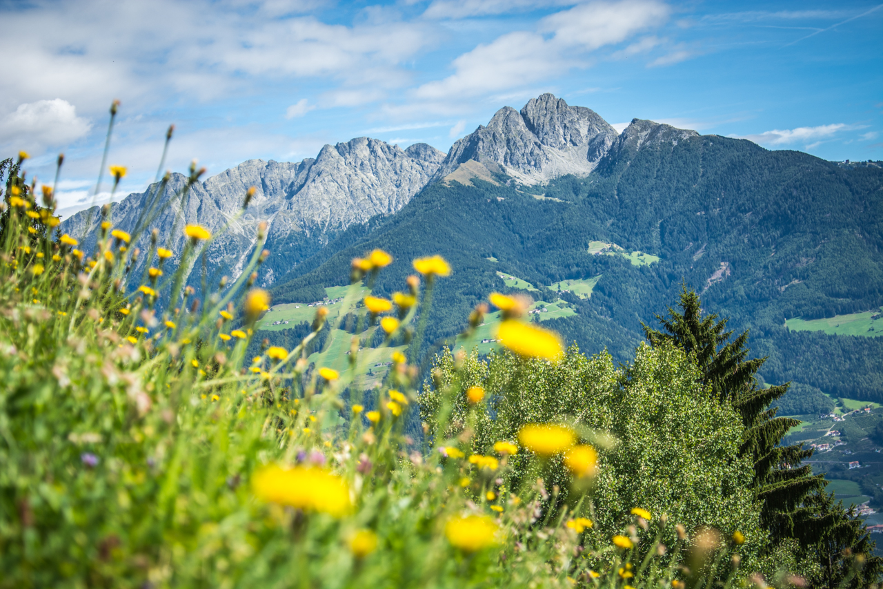 View while hiking Alta Via di Merano