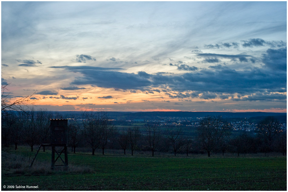 view with lights