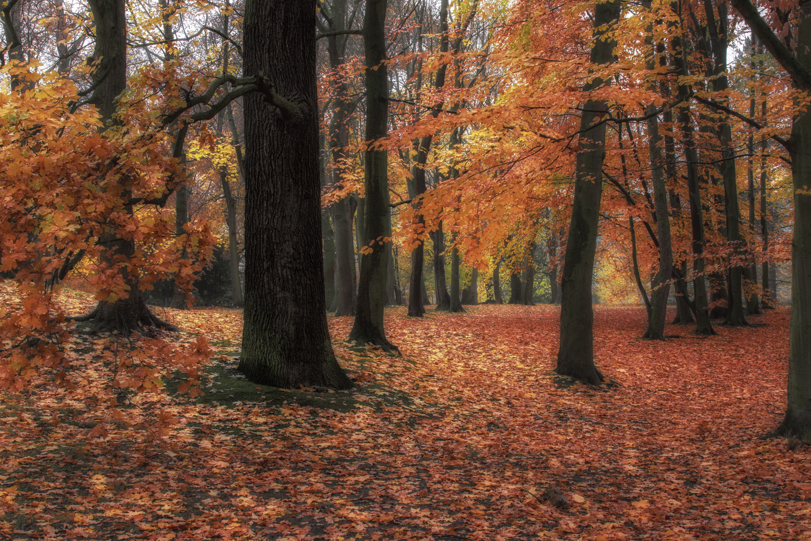 Viewegsgarten im Herbst