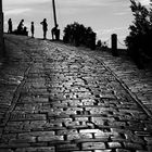 Viewpoint Motovun