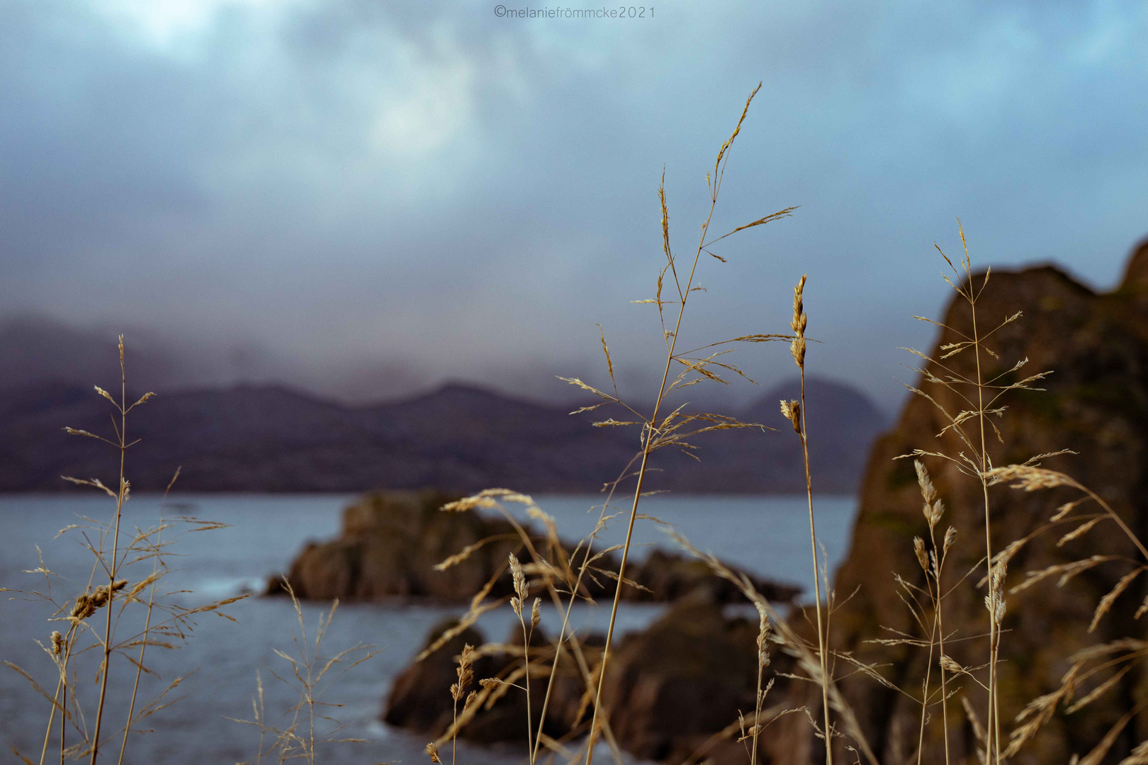 Views of Lofoten I