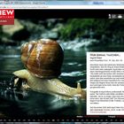 VIEWspotlight / Juli-Ausgabe 2015