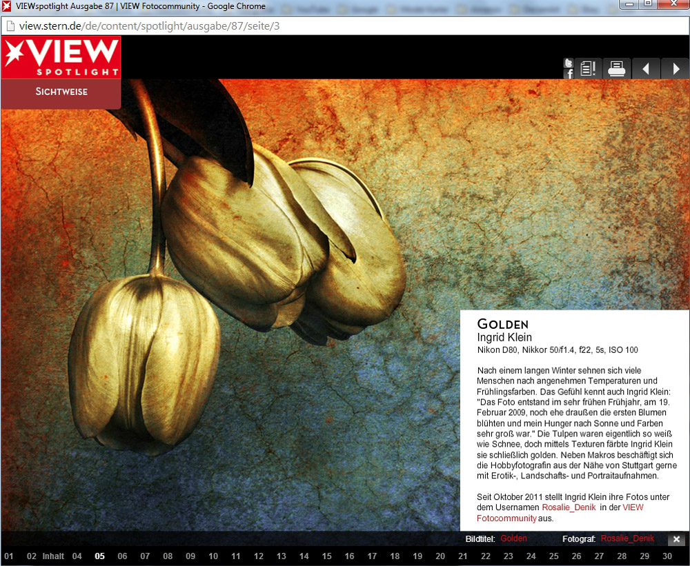 VIEWspotlight / Oktober-Ausgabe 2014