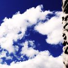 Vigeland Skulpturen Park - Oslo