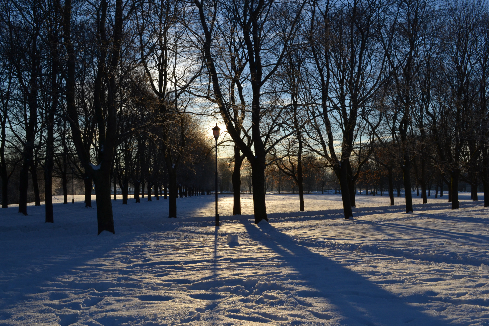 Vigelandsparken Oslo