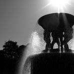 Vigelandsparken Oslo III