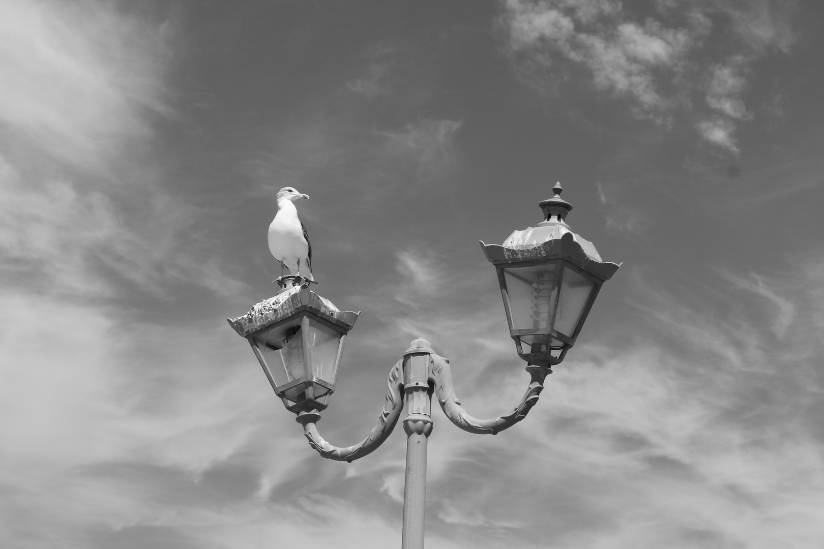 Vigilando el horizonte