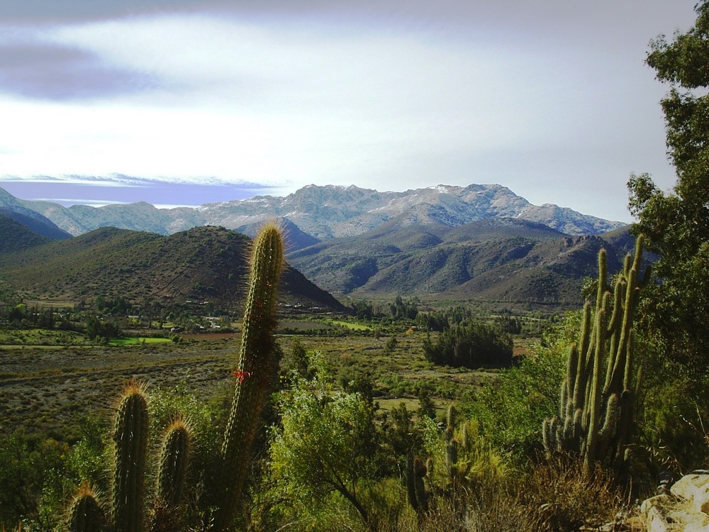 Vigilando el valle