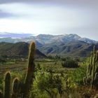 Vigilando el valle