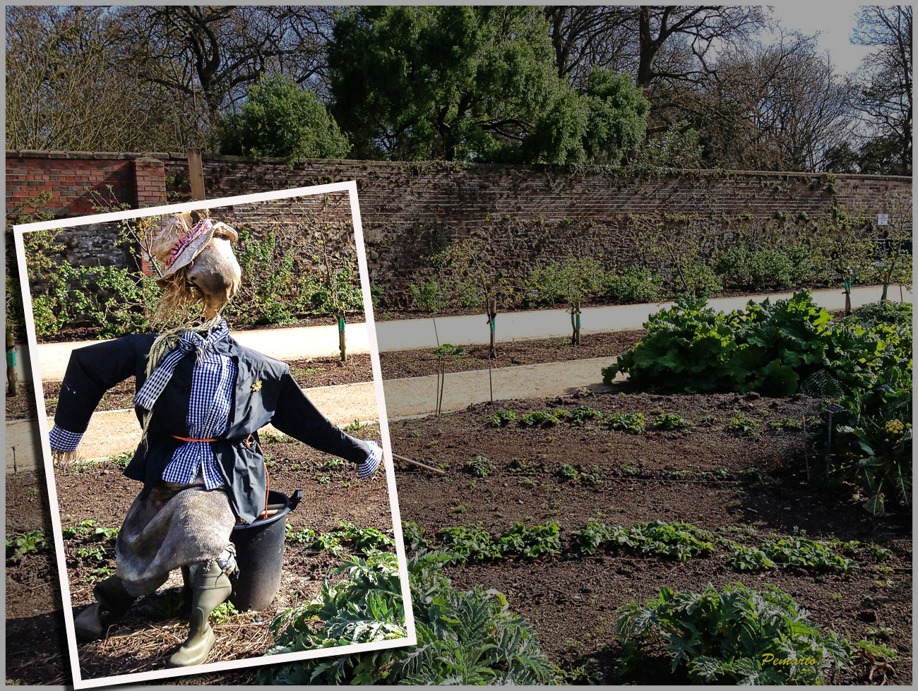 Vigilando la Huerta.