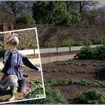 Vigilando la Huerta.