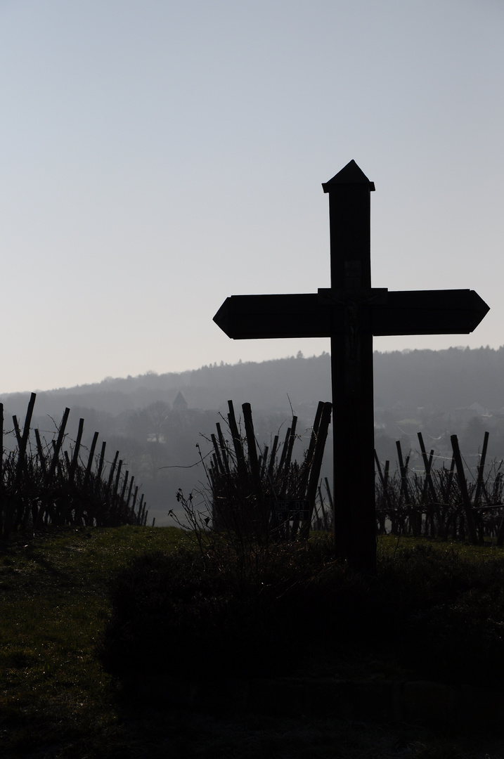 vigne de dieu