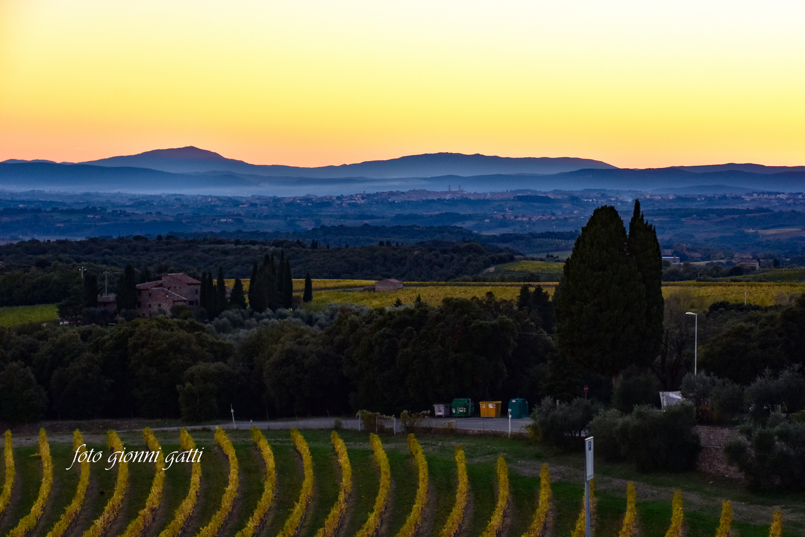 Vigne toscane