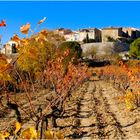 Vignes de novembre