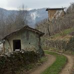 Vigneti di Costalunga, Boves