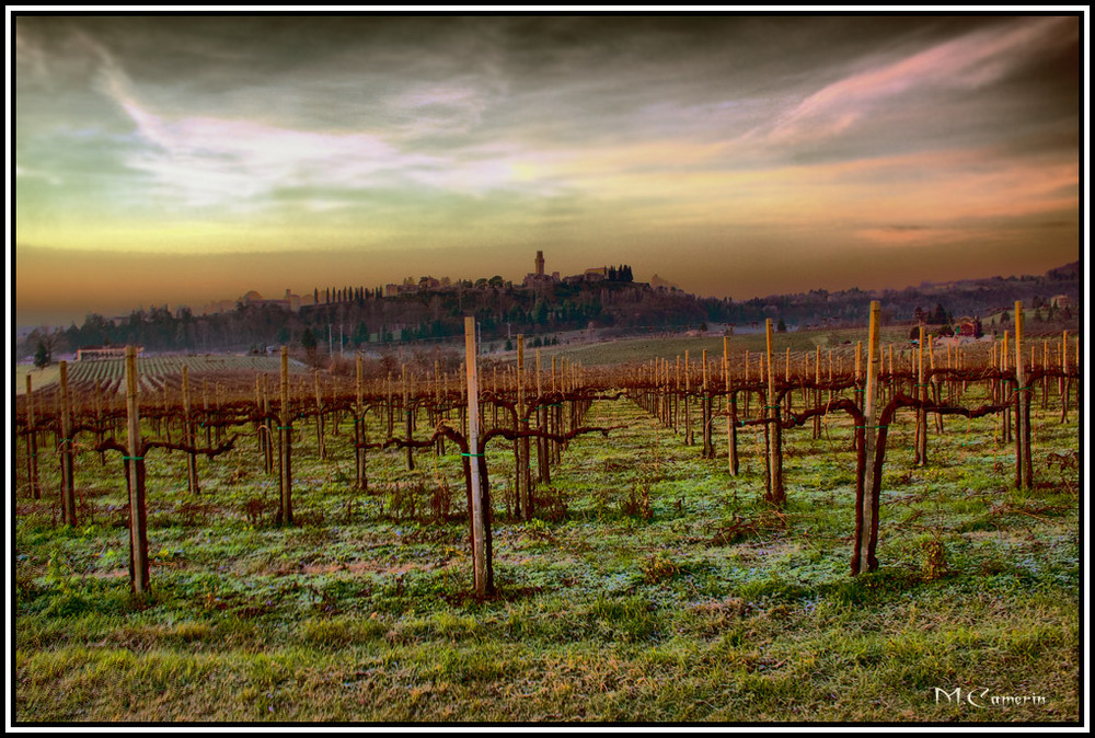 Vignetto al alba