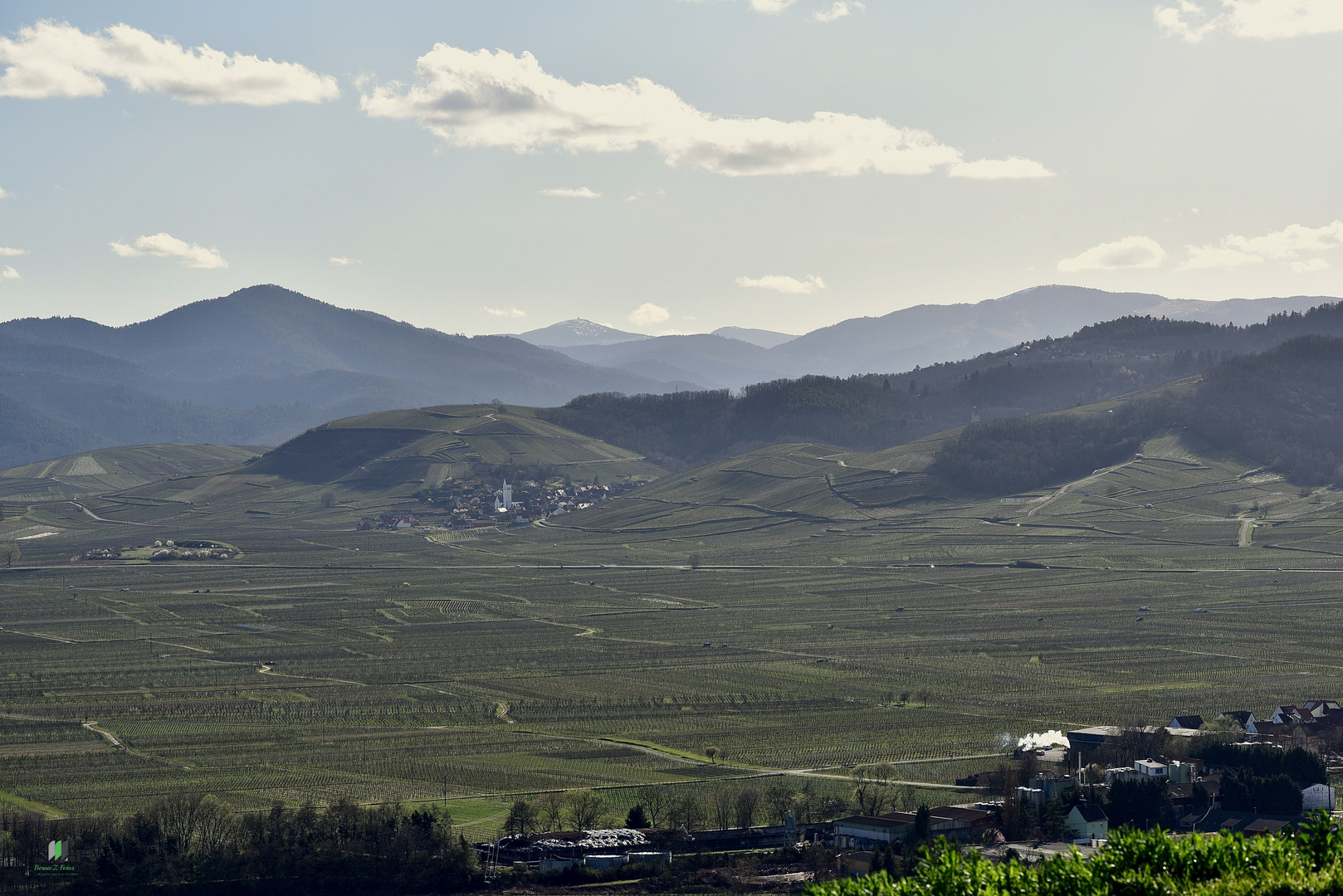 Vignoble Alsacien