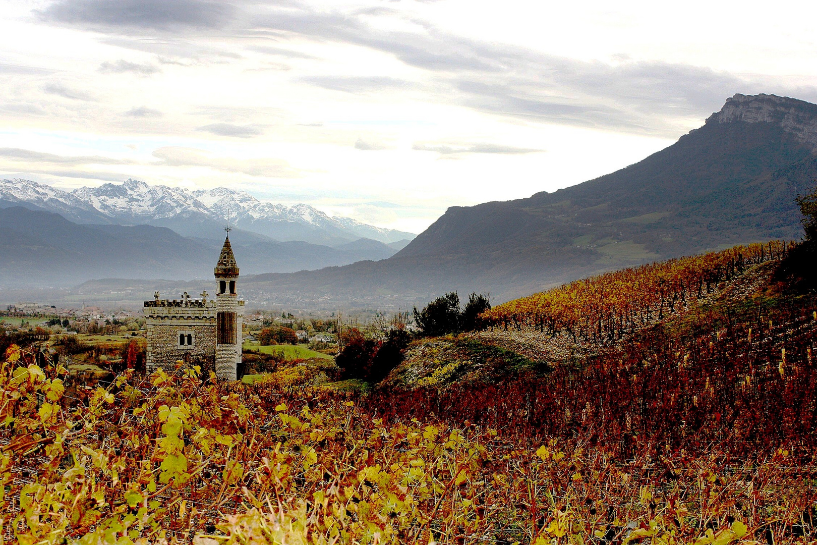 Vignoble d'automne en Savoie