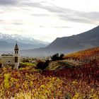 Vignoble d'automne en Savoie