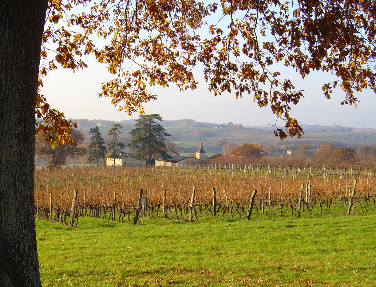 Vignoble de la Ténarèze