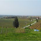 Vignoble de l’appellation  „Lugana“ 