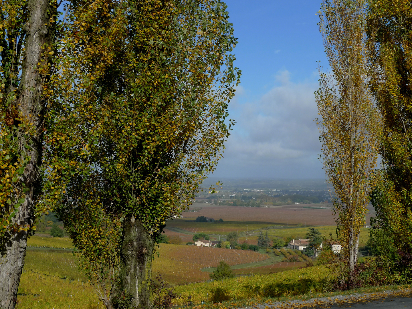 Vignoble de Monbazillac