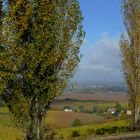 Vignoble de Monbazillac