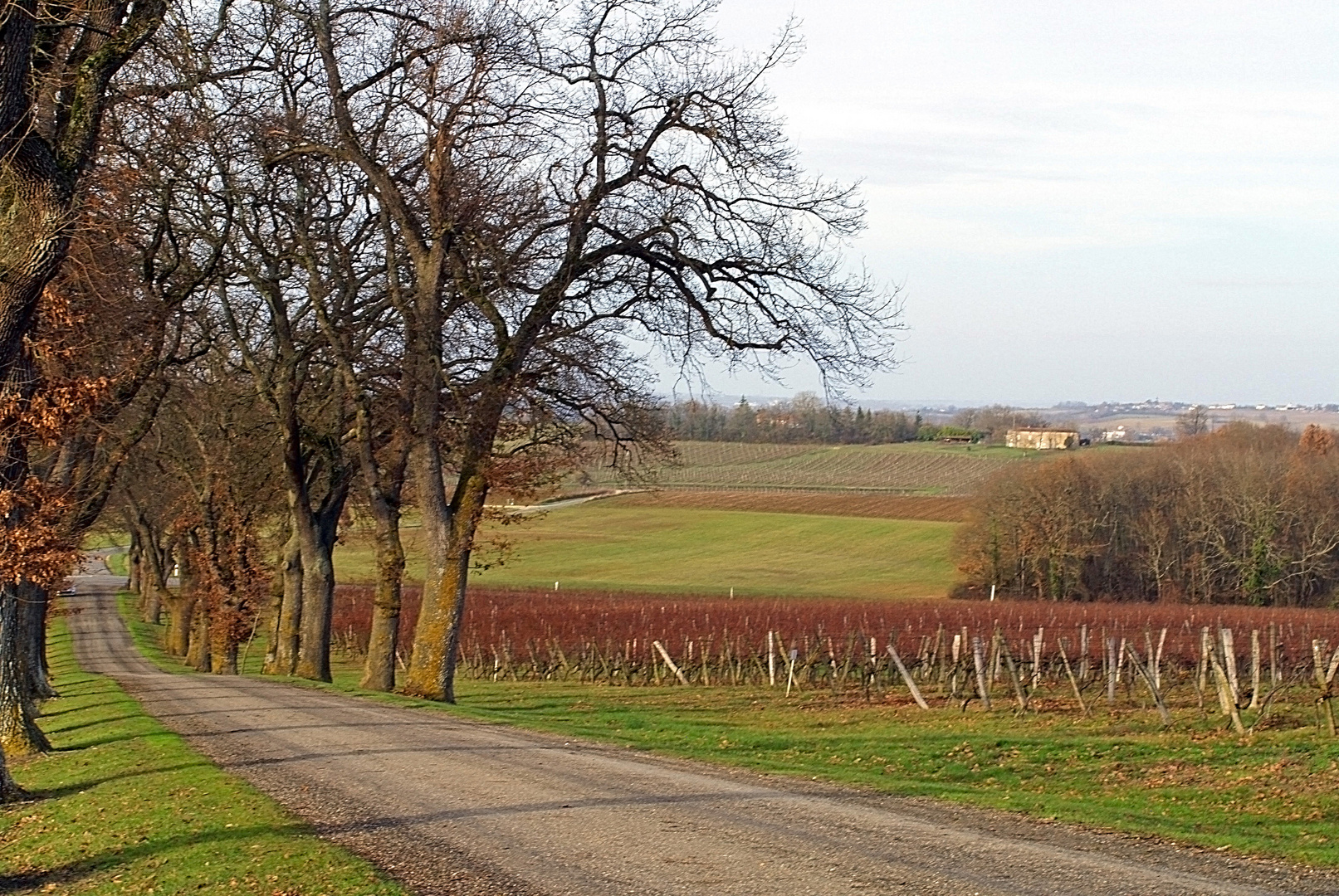 Vignoble du Château de Mons