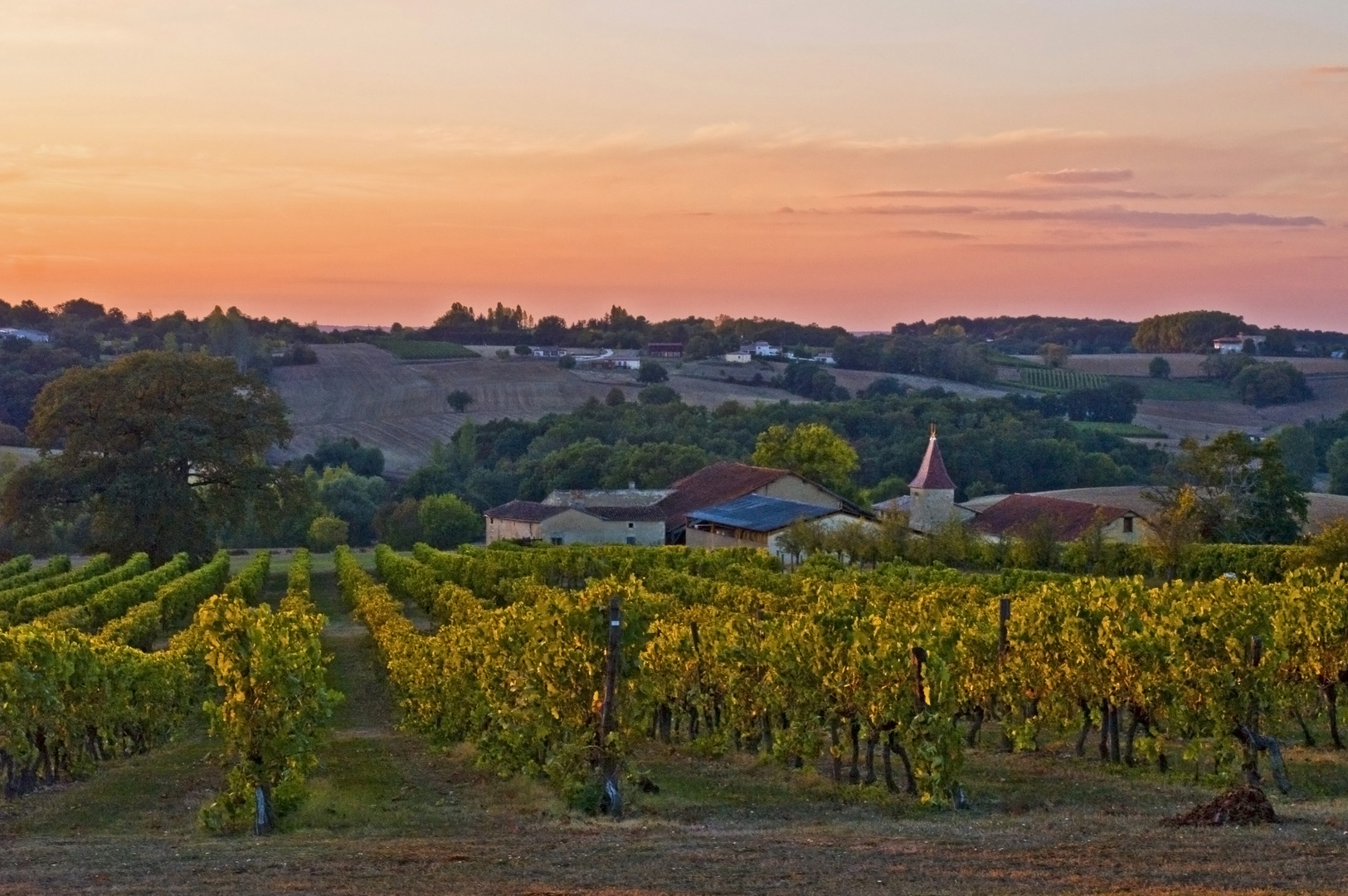 Vignoble du Château de Mons à Caussens