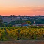 Vignoble du Château de Mons à Caussens