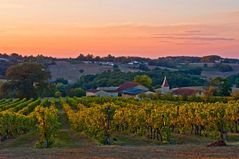 Vignoble du Château de Mons à Caussens