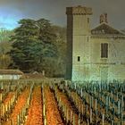 Vignoble en Bourgogne  