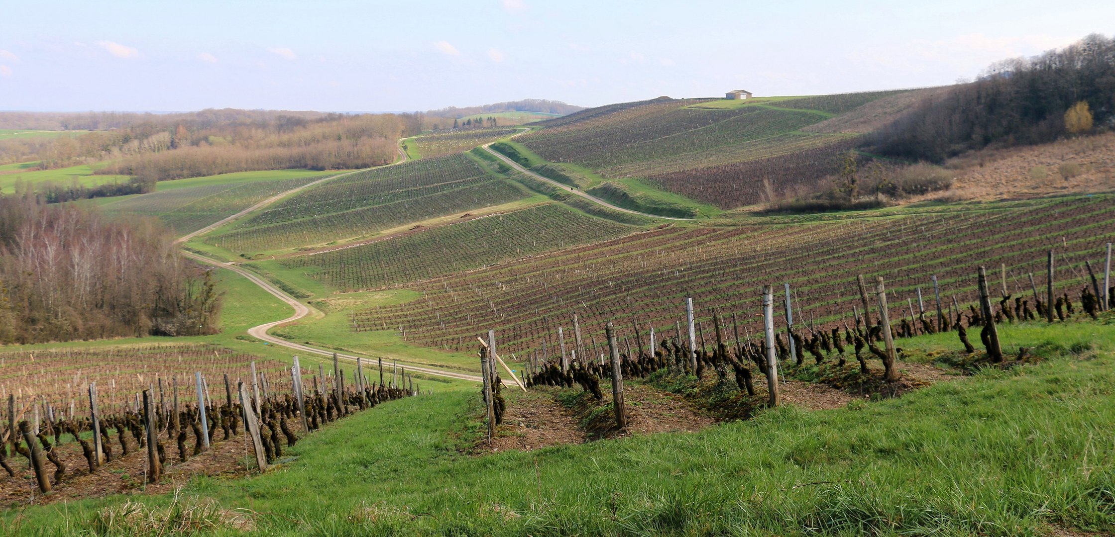 Vignoble Jurassien