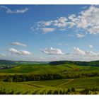 vignoble luxembourgeois