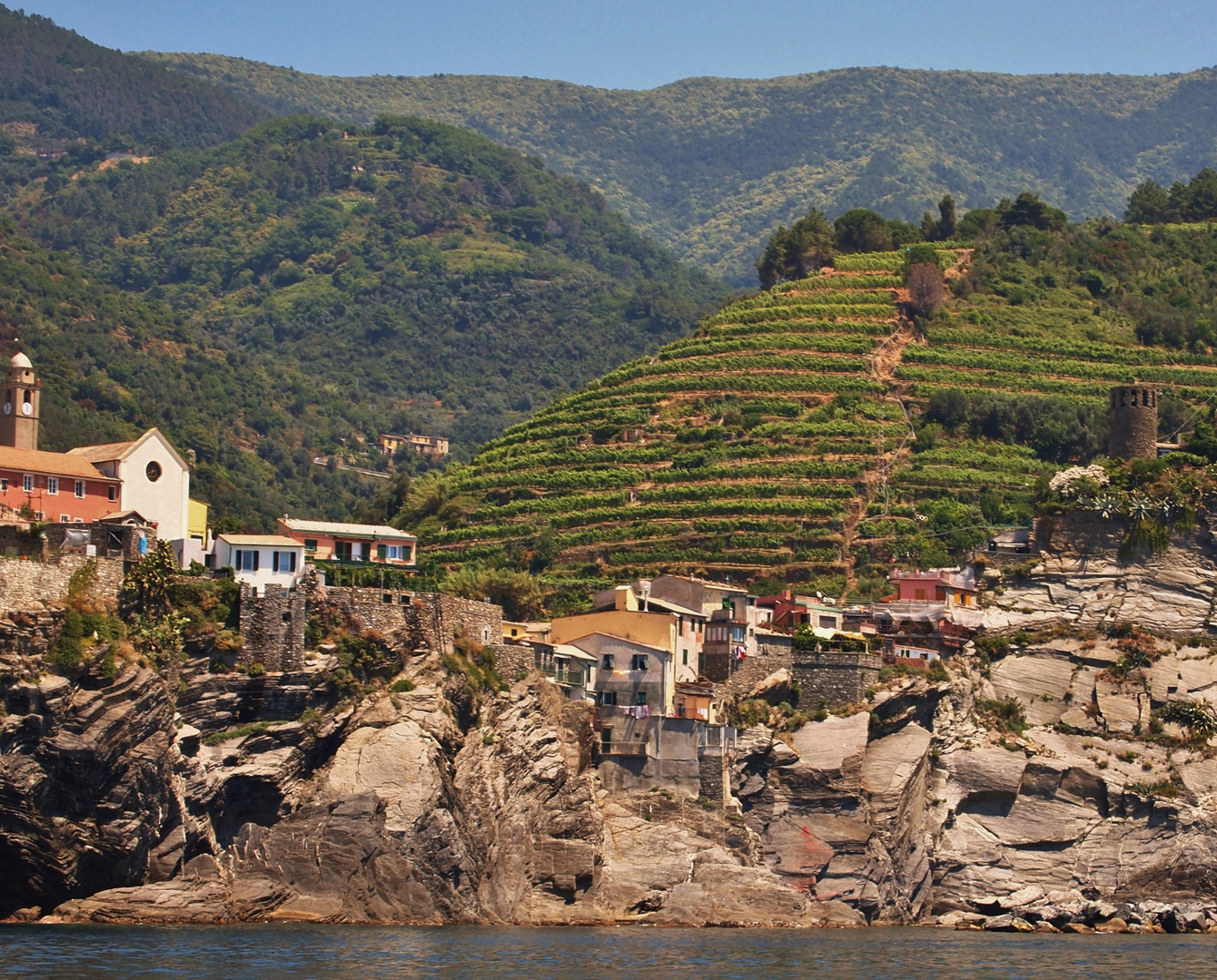 vignoble, source de renouveau aux 5 terres